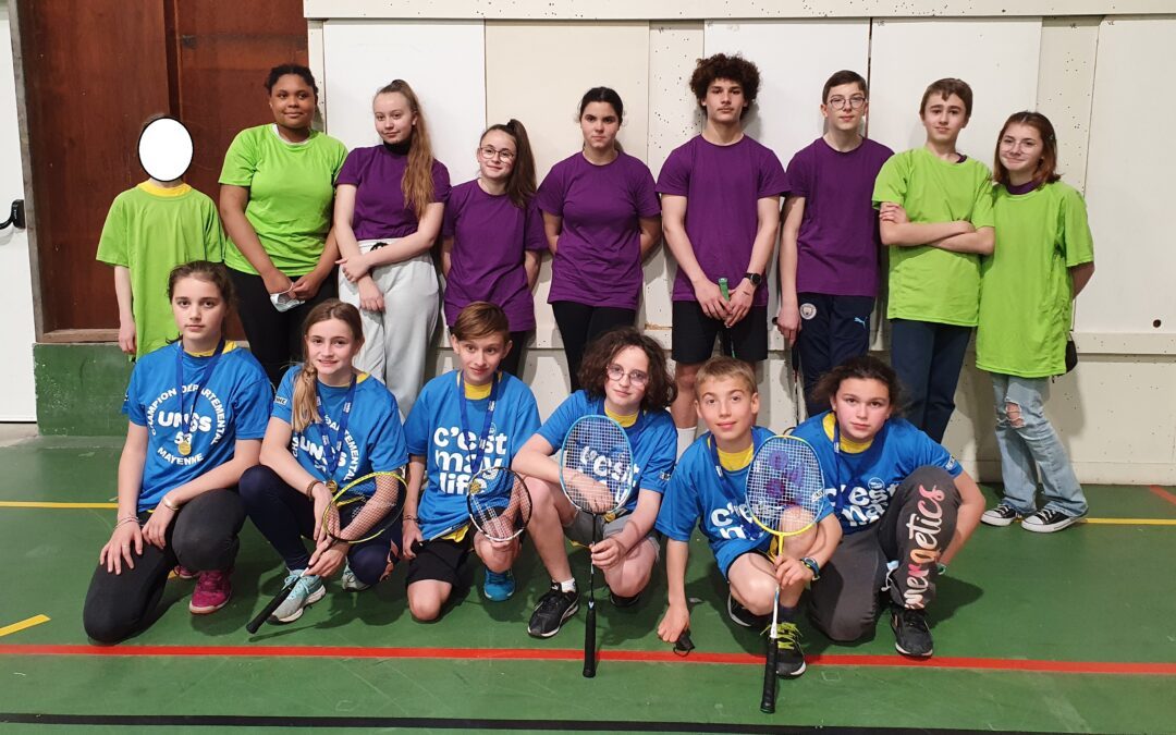 Compétition – Badminton départementaux